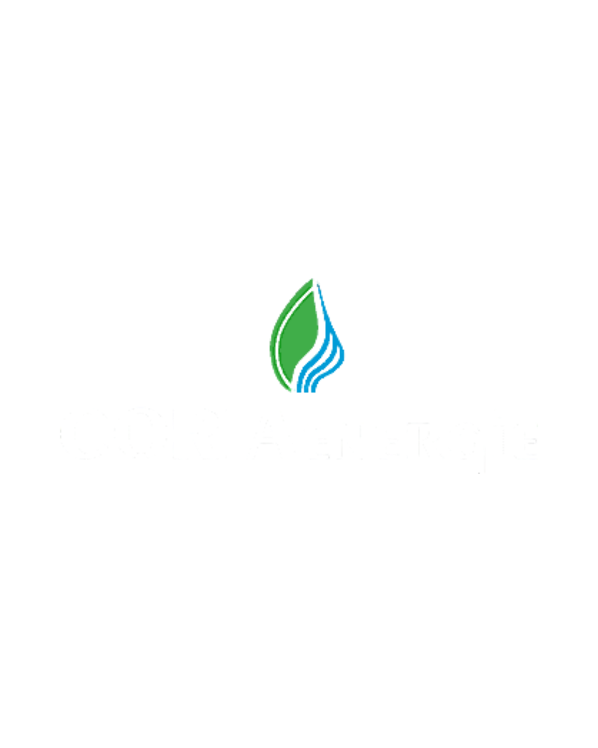 Coria Energie